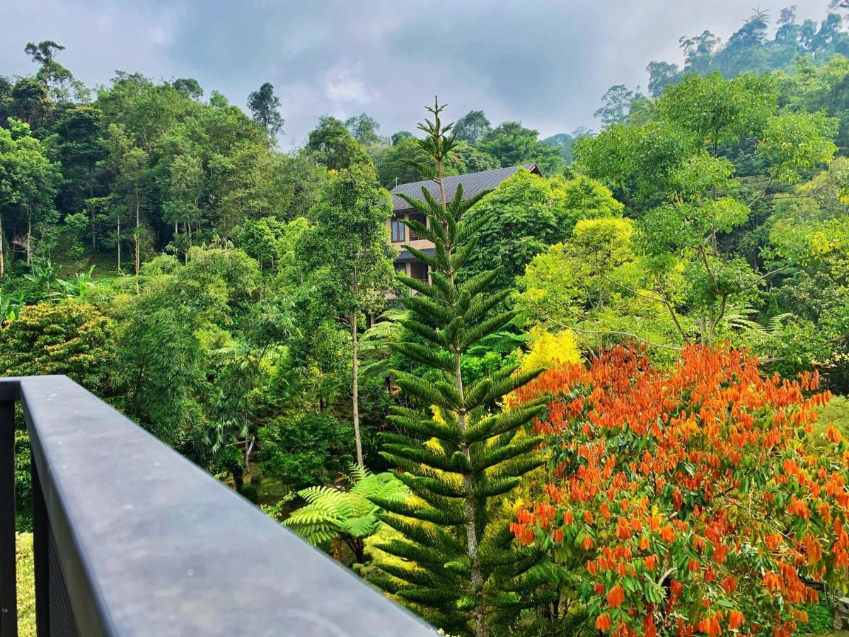 Harmony Valley Retreat Bukit Tinggi Exteriér fotografie