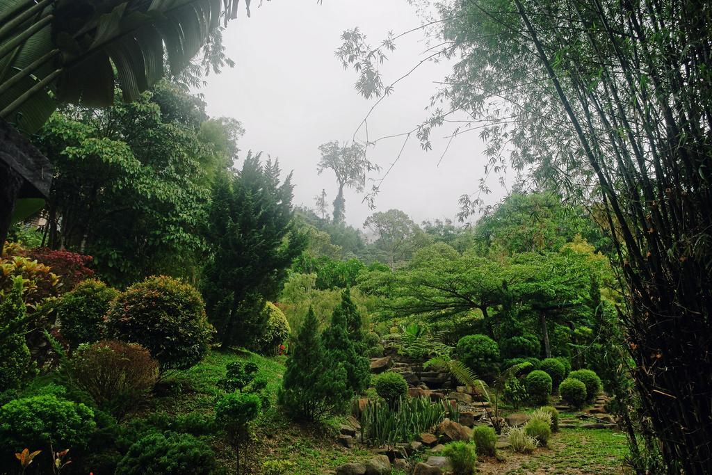 Harmony Valley Retreat Bukit Tinggi Exteriér fotografie